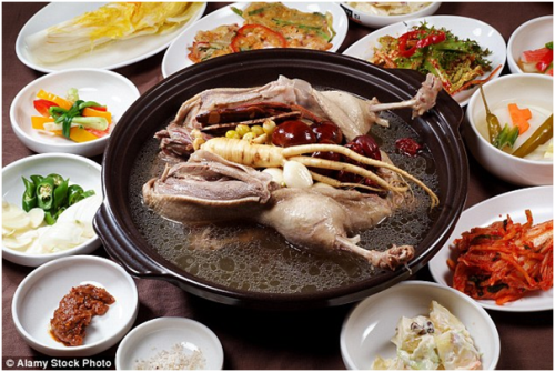 Món canh gà tần sâm nổi tiếng của Hàn Quốc. Ảnh: Alamy Stock Photo.